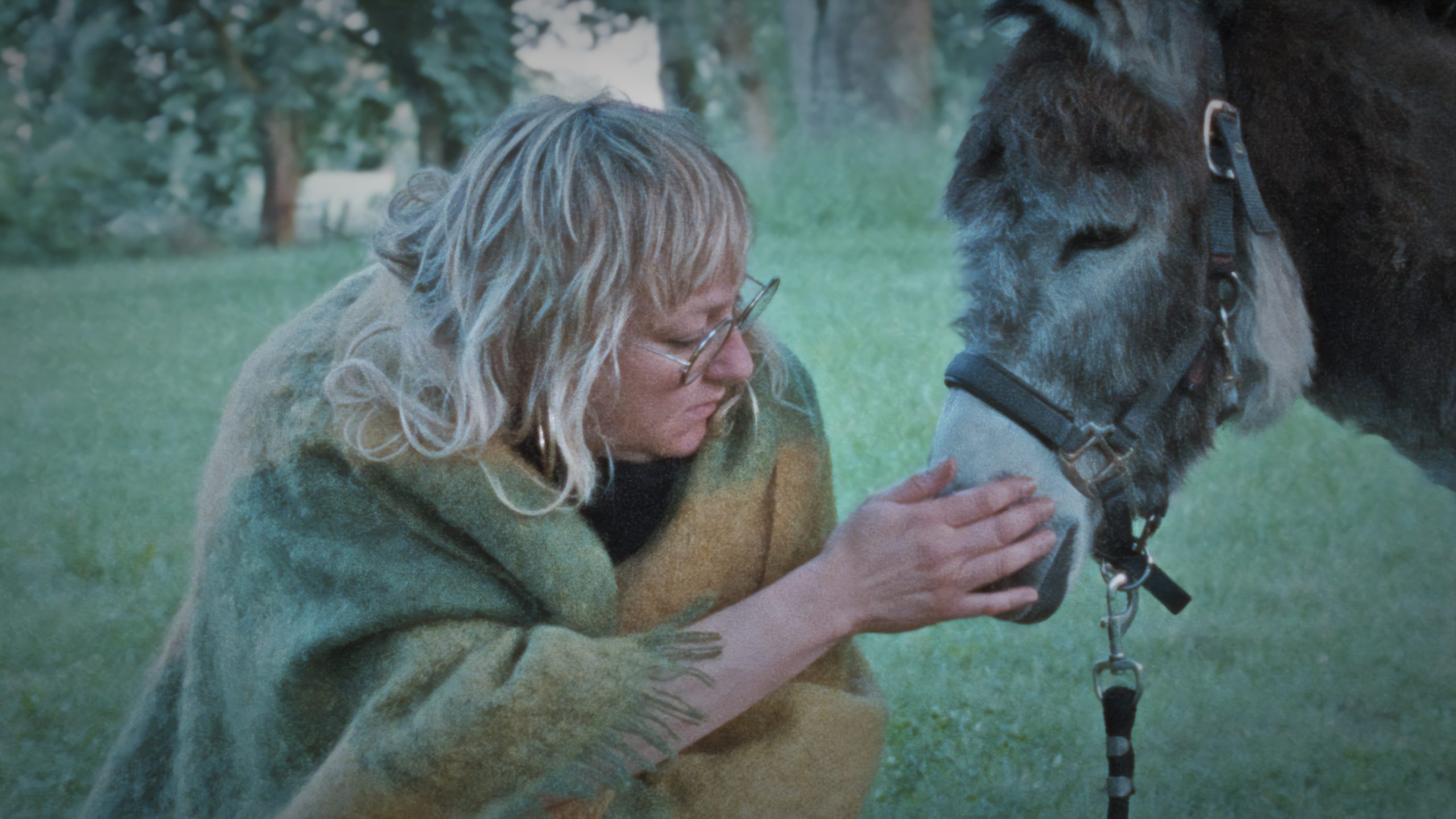 Donkey Days_still2