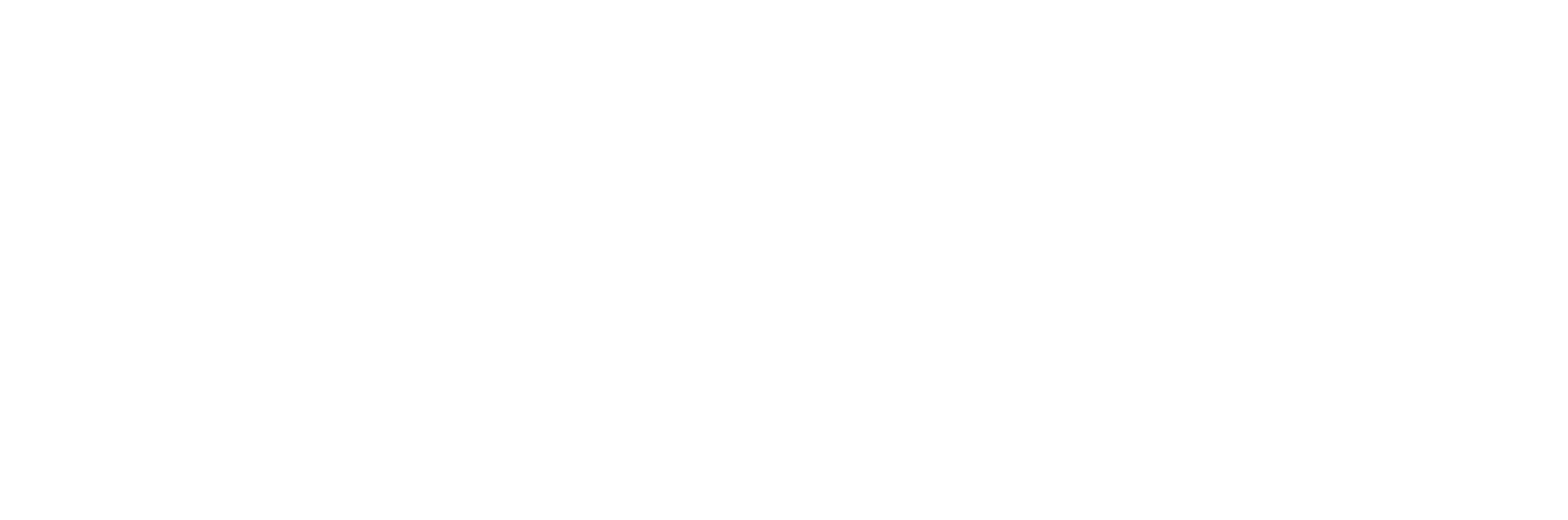 76_IFB_Perspectives_white